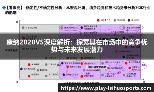 康纳2020VS深度解析：探索其在市场中的竞争优势与未来发展潜力